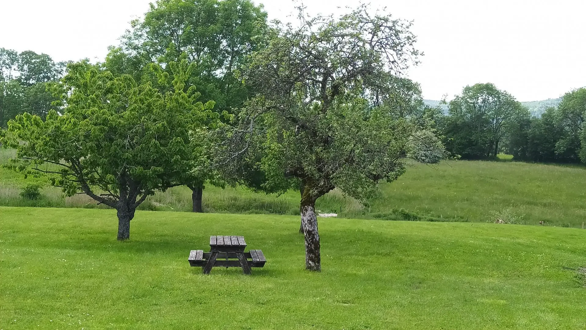Coin de repos en pleine nature