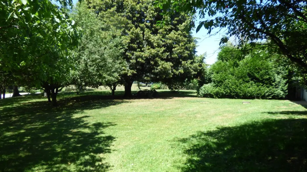 le jardin à l'arrière de la maison