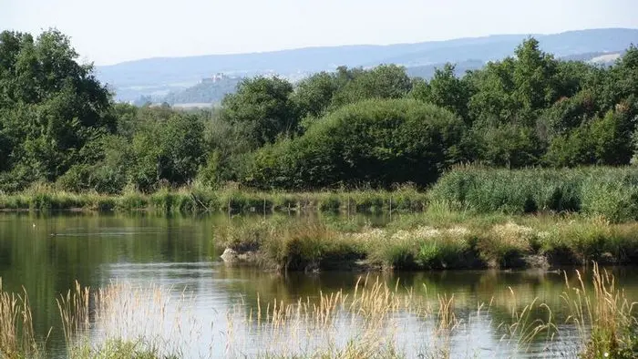 Réserve de Biterne