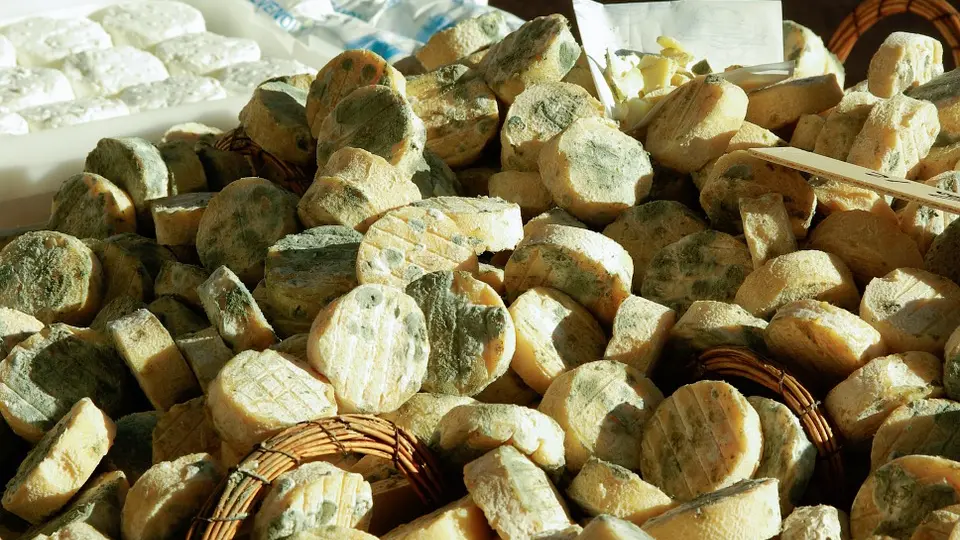 Producteur fromages de chèvres et oeufs - Apinac