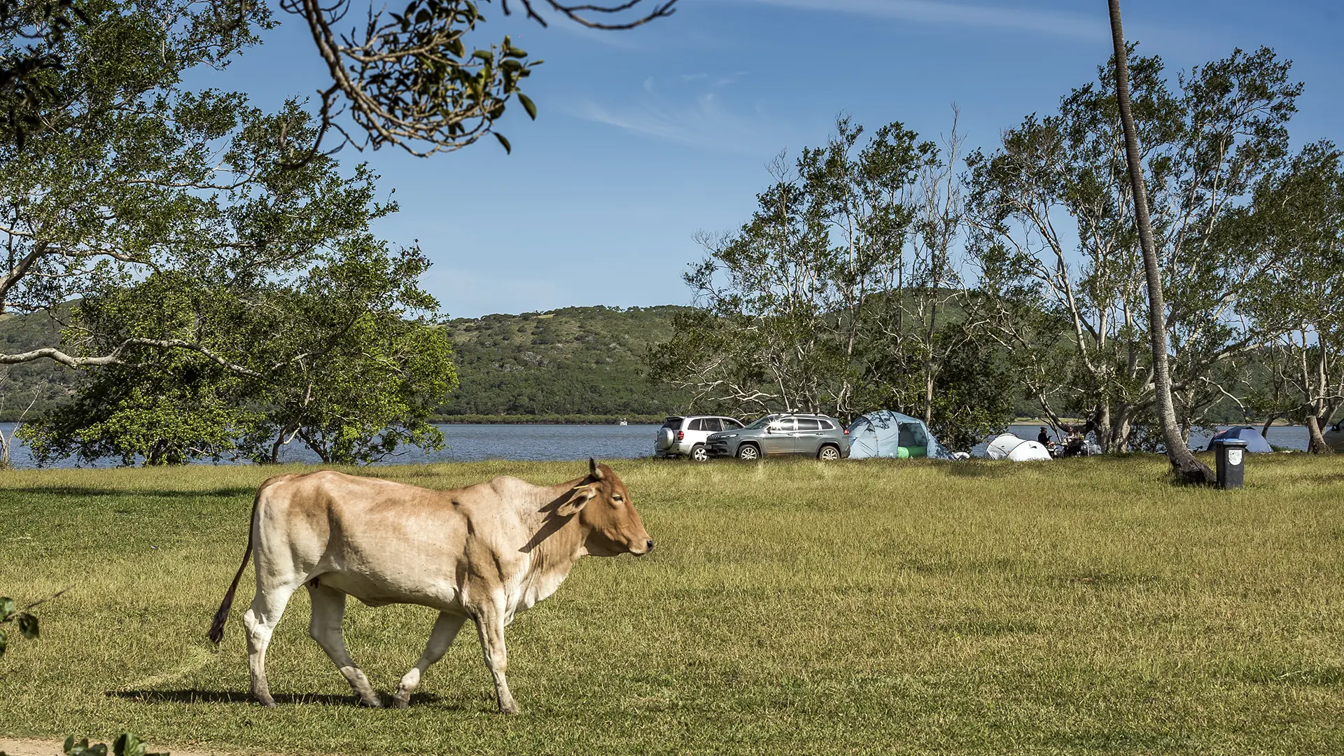 Le terrain de camping