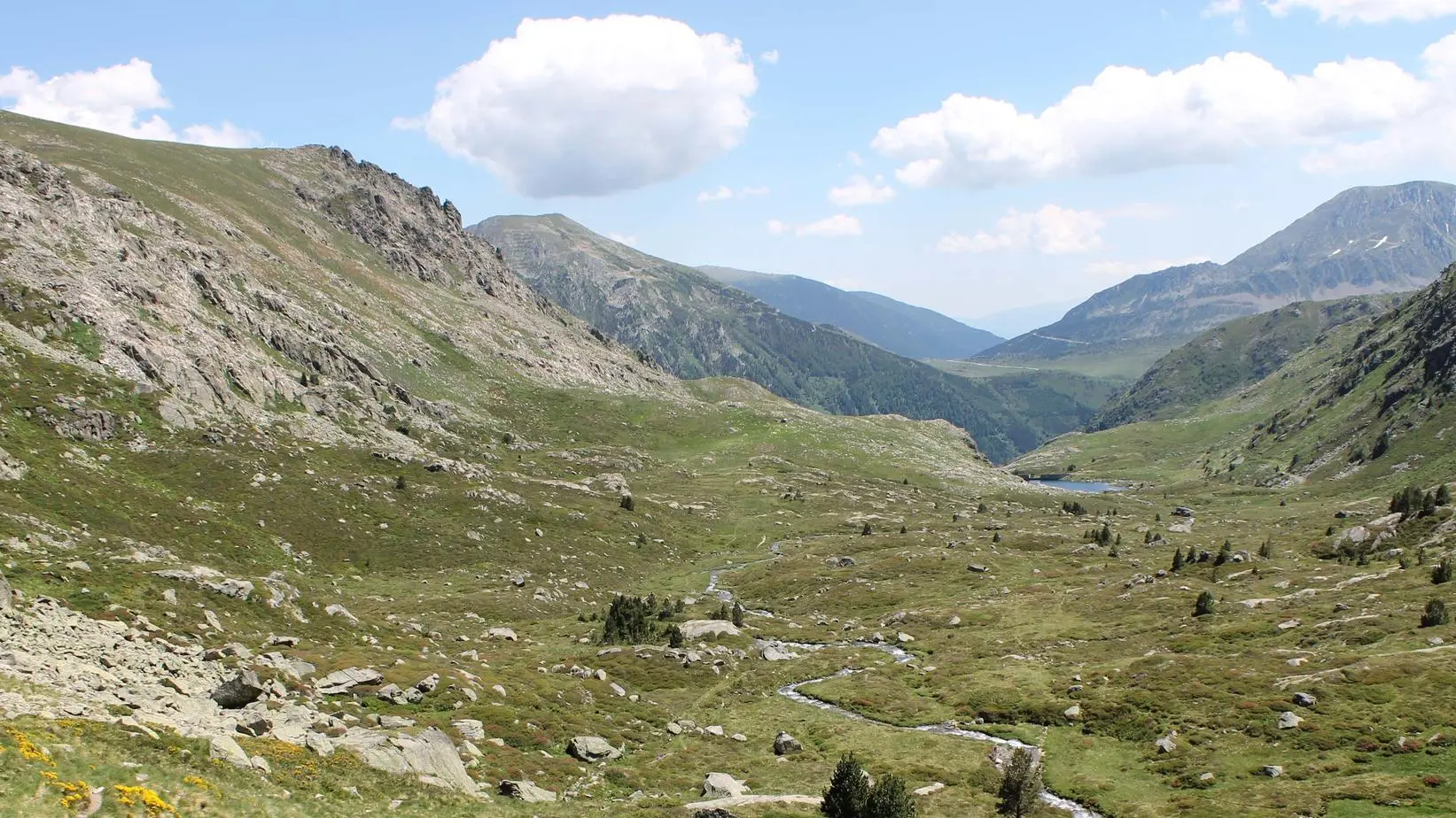 Massif Aston étang Comte-Couart