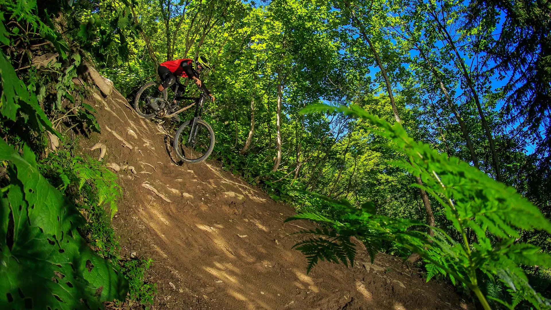 Bike Park Châtel