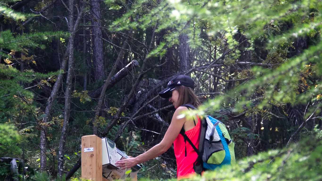 Balade sur le sentier pédagogique de la Taure avec un paysage en forêt dans la réserve biologique du Bois des Ayes