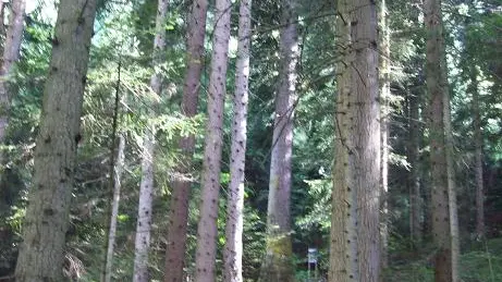 sentier d'accès