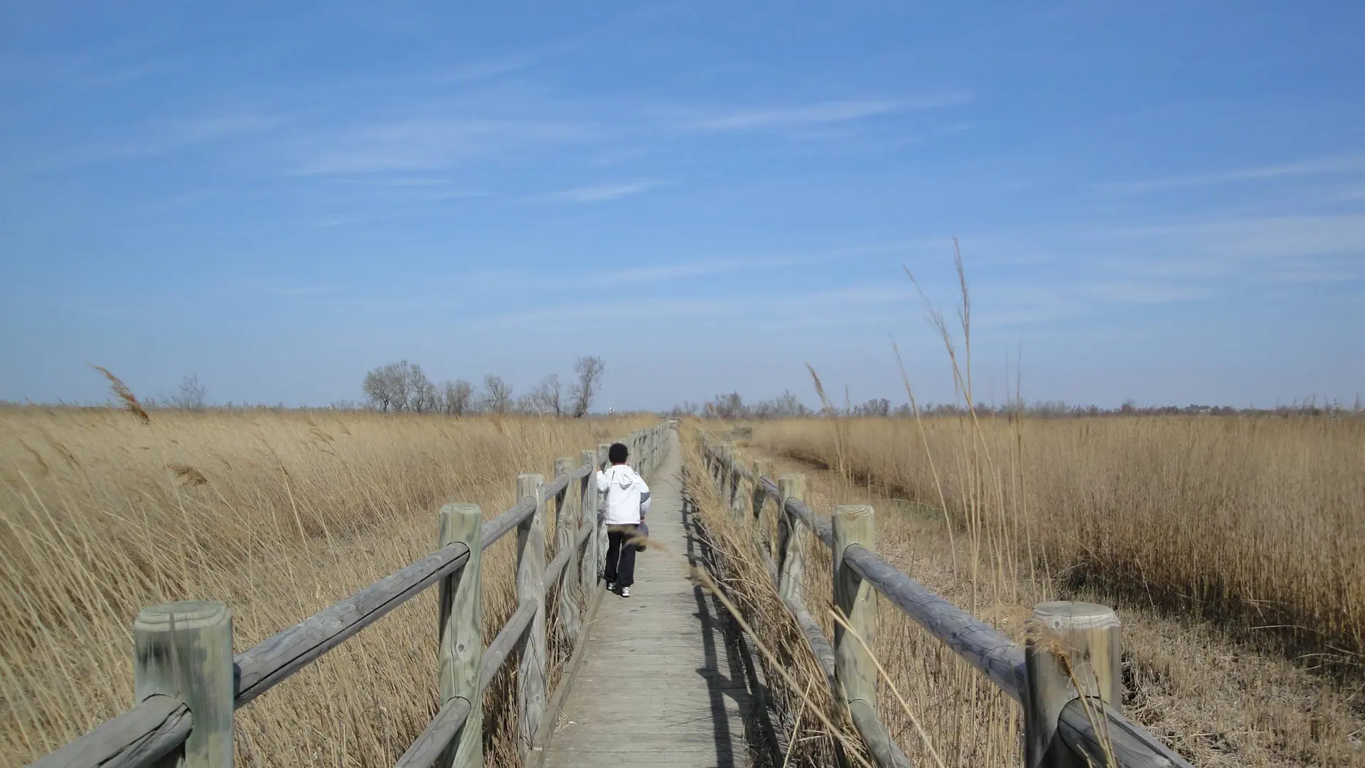 Sentier du Pont de Rousty