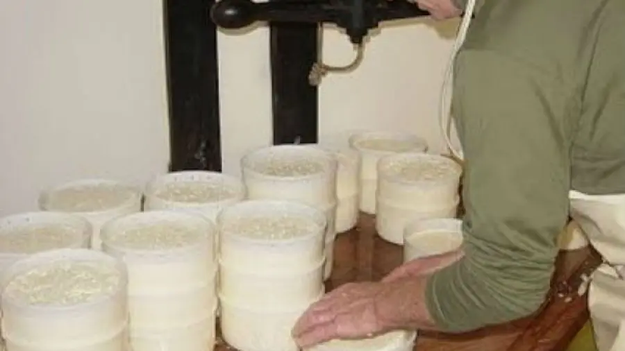 fromageaixlesbainsrivieradesalpesgaecdelacluse
