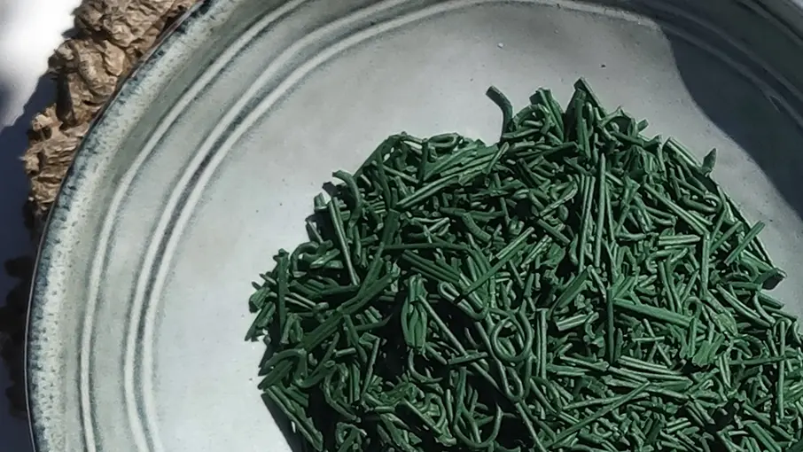 Spiruline de Callas