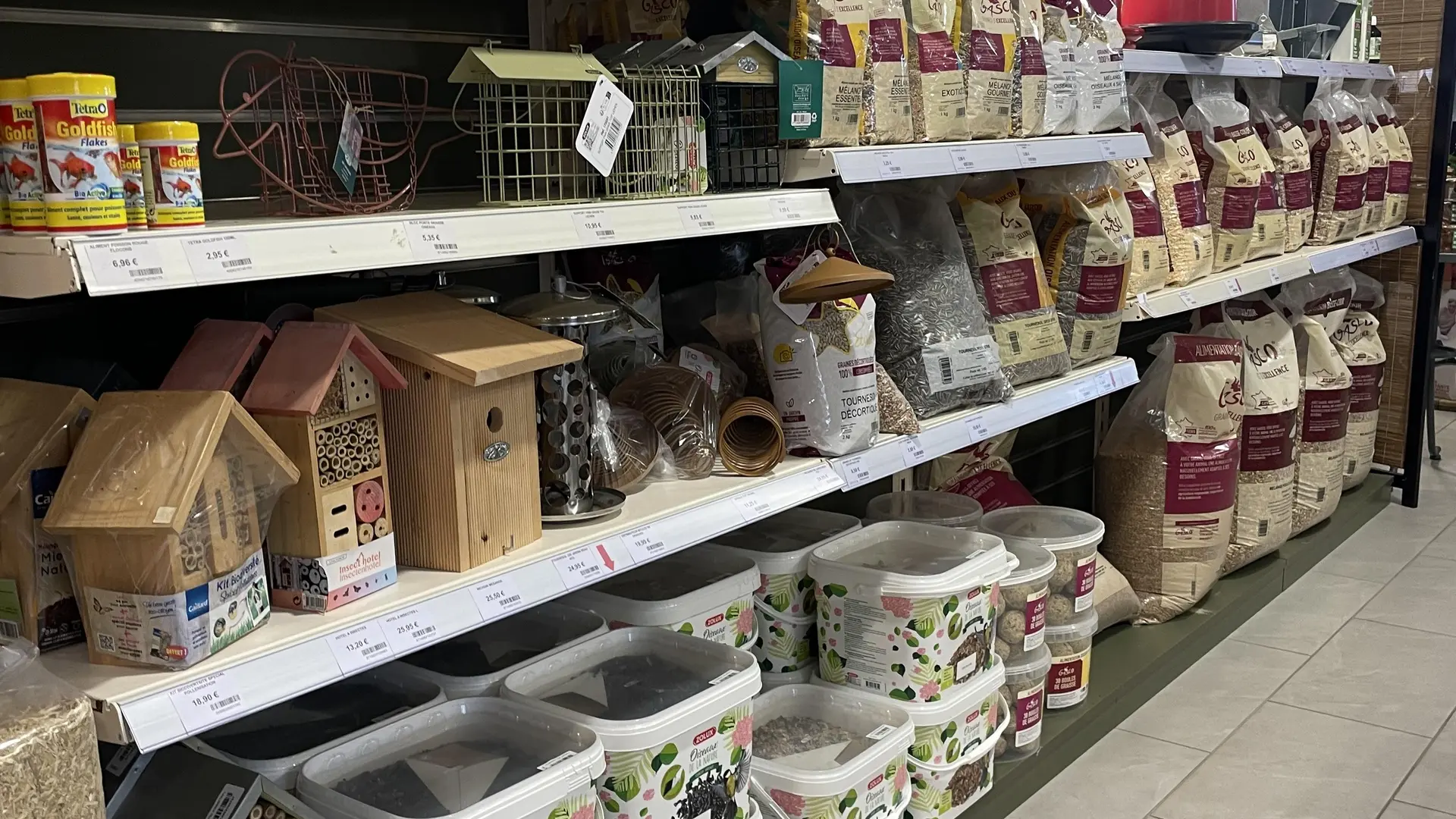 Rayon oiseaux