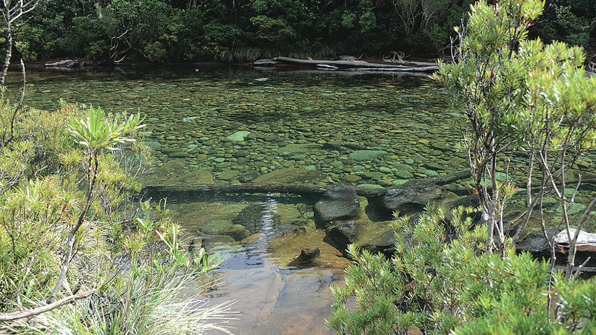 La rivière Bleue