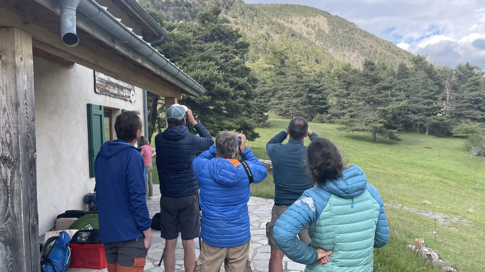 Observation oiseaux de montagne