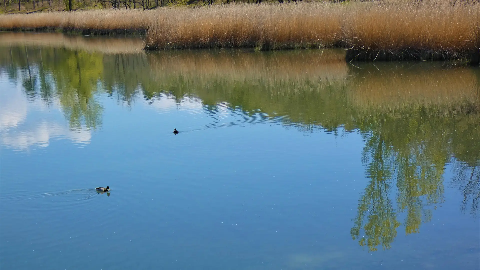 Lac de Mison Upaix