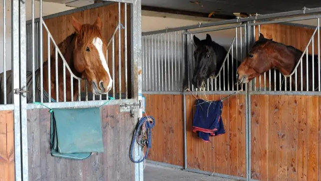 Caballerizas de Loix