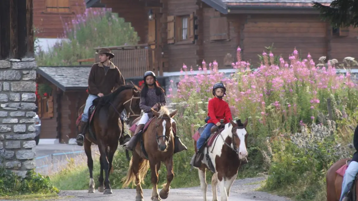 Randonnées à cheval