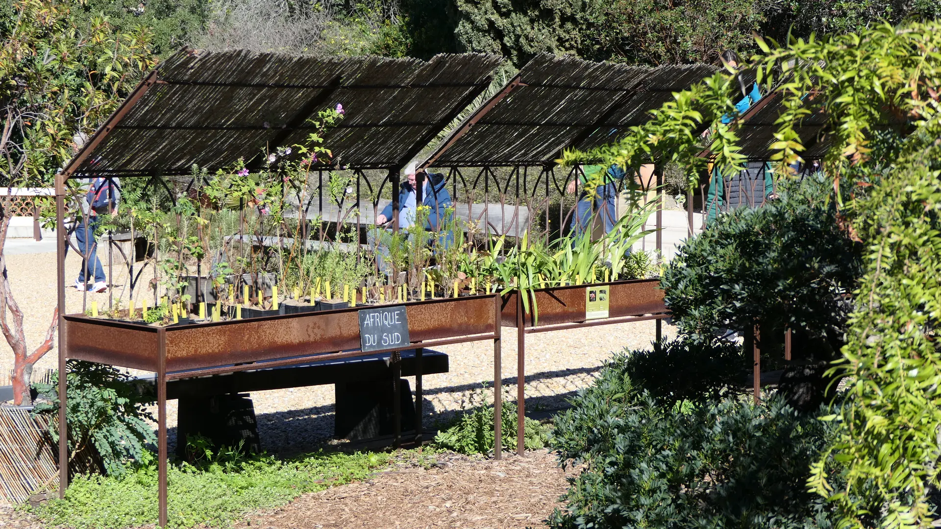 La pépinière du Domaine du Rayol_Rayol-Canadel sur Mer
