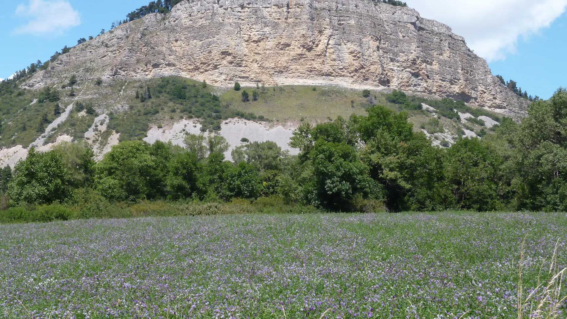 Le Chapeau de Napoléon