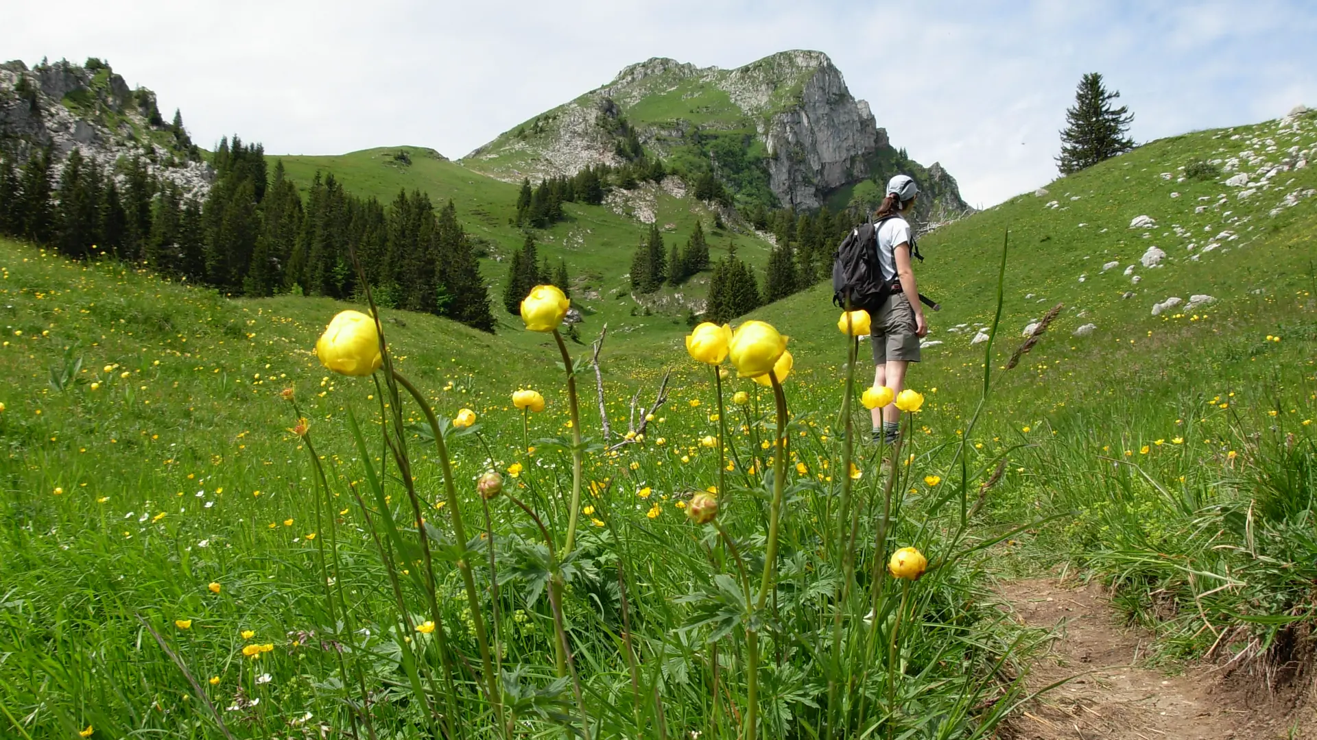 Sommet de la Haute Pointe