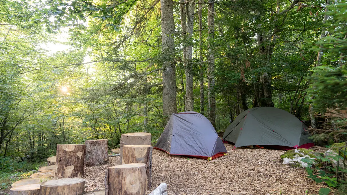 Espace pour les tentes aménagé des copeaux de bois au sol