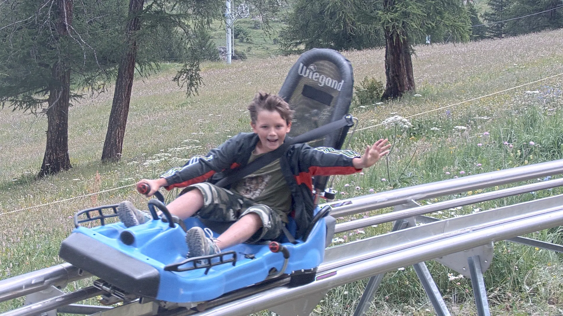 Luge été