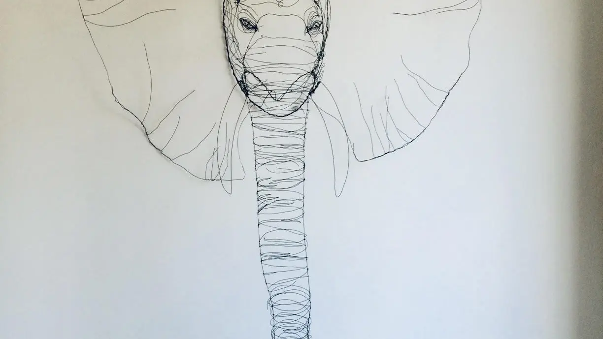 Eléphant