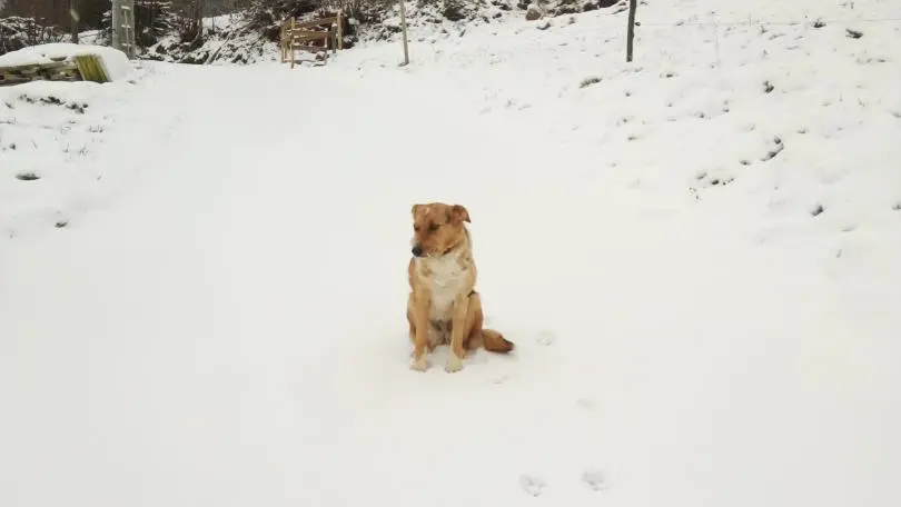 Le Sapt sous la neige.