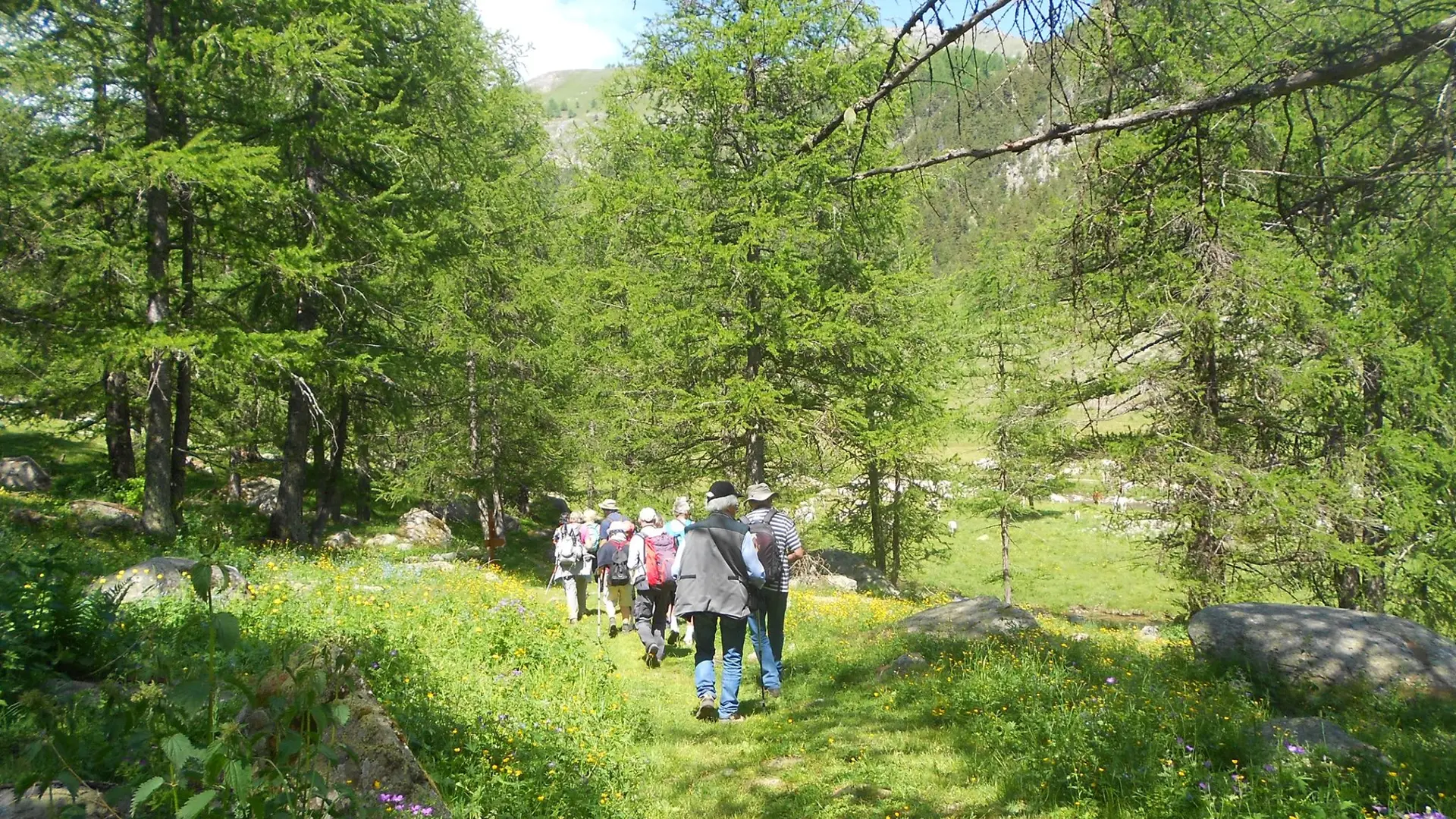 Randonnée conviviale en groupe