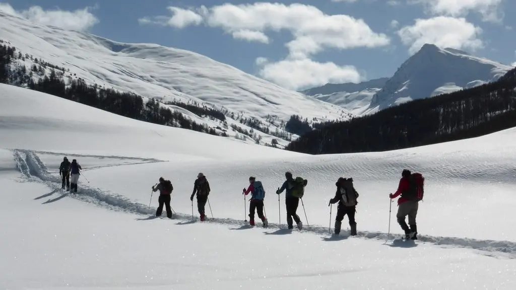 Groupe à raquette