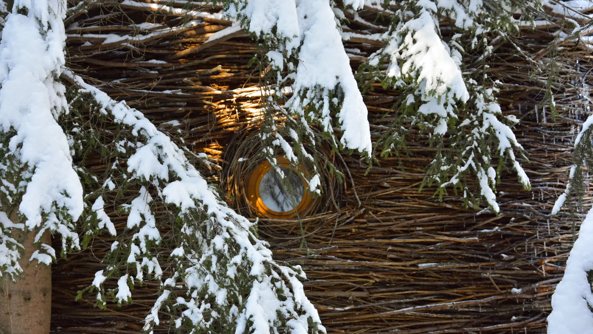 Cabanes entre Terre et Ciel - Cabane Nid, cabane tressée de branche avec son hublot