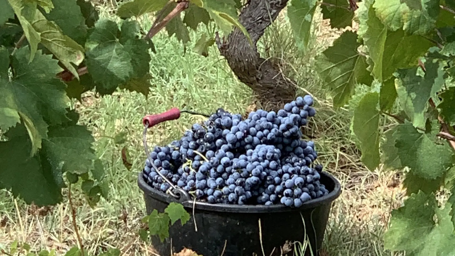 Clos des B
