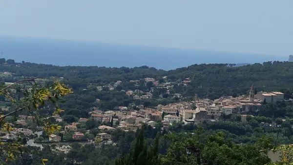 Vignobles de Bandol, Cassis, le Castellet