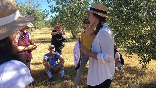 Visit winery and lavender farm