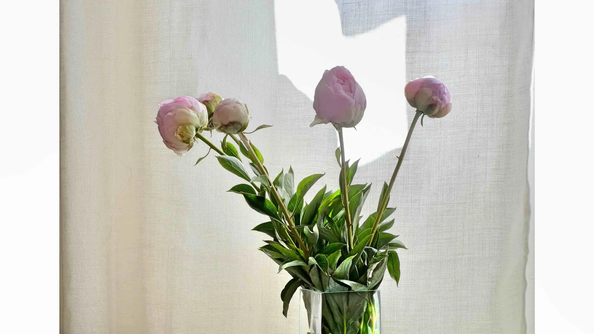 Les Jardins de Sitaara_CucuronLes Jardins de Sitaara_Cucuron