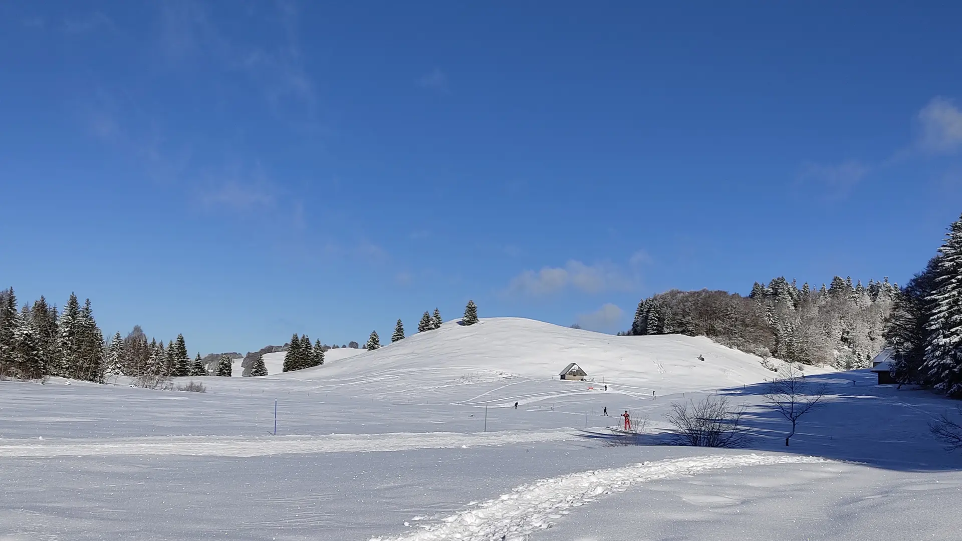 tourbiere des creusates