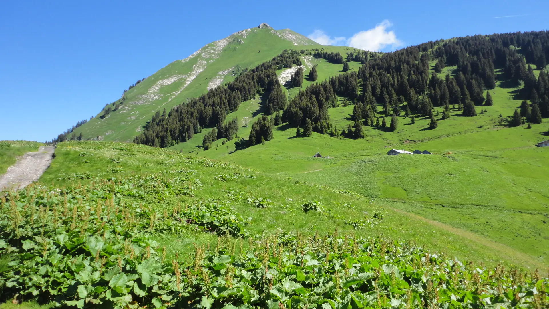 Vue sur Lenlevay et le Mont de Grange