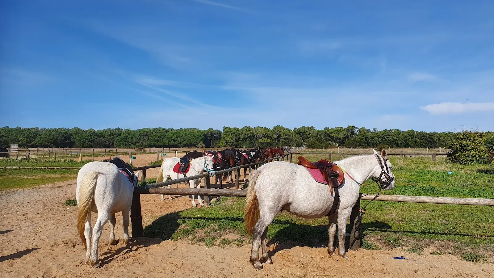 Haras des Evières