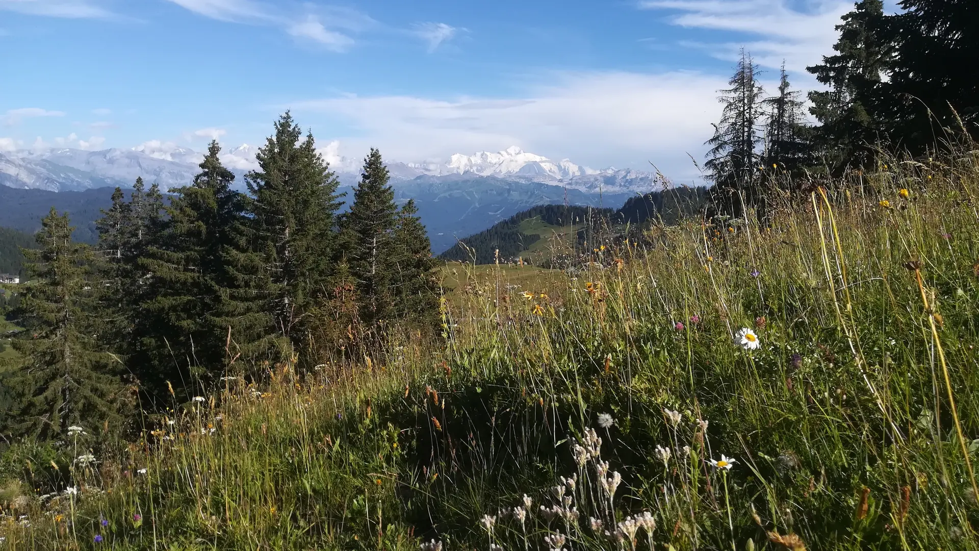 Balade en direction du Lac de Roy