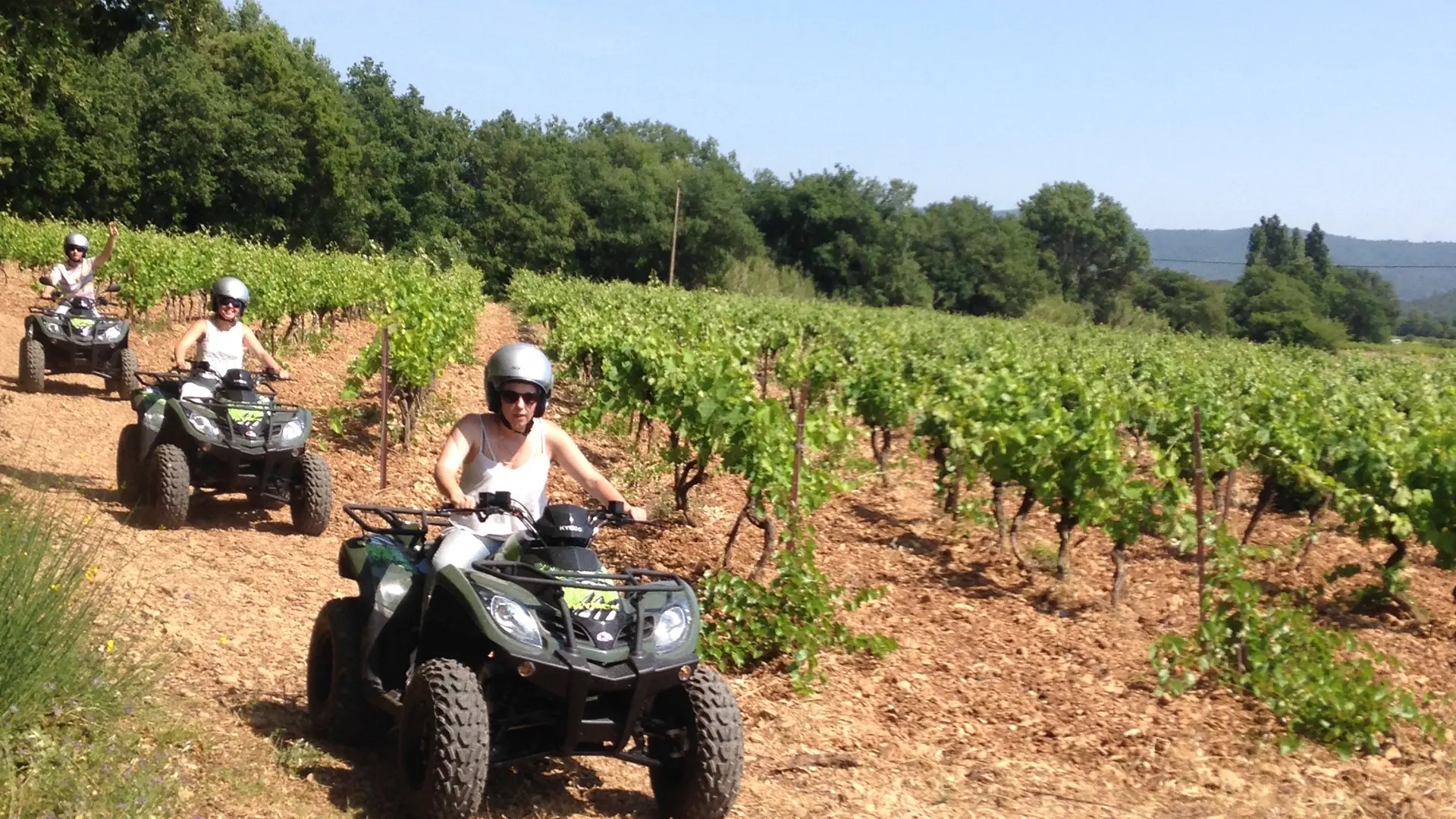 Balade en quad au coeur des vignes