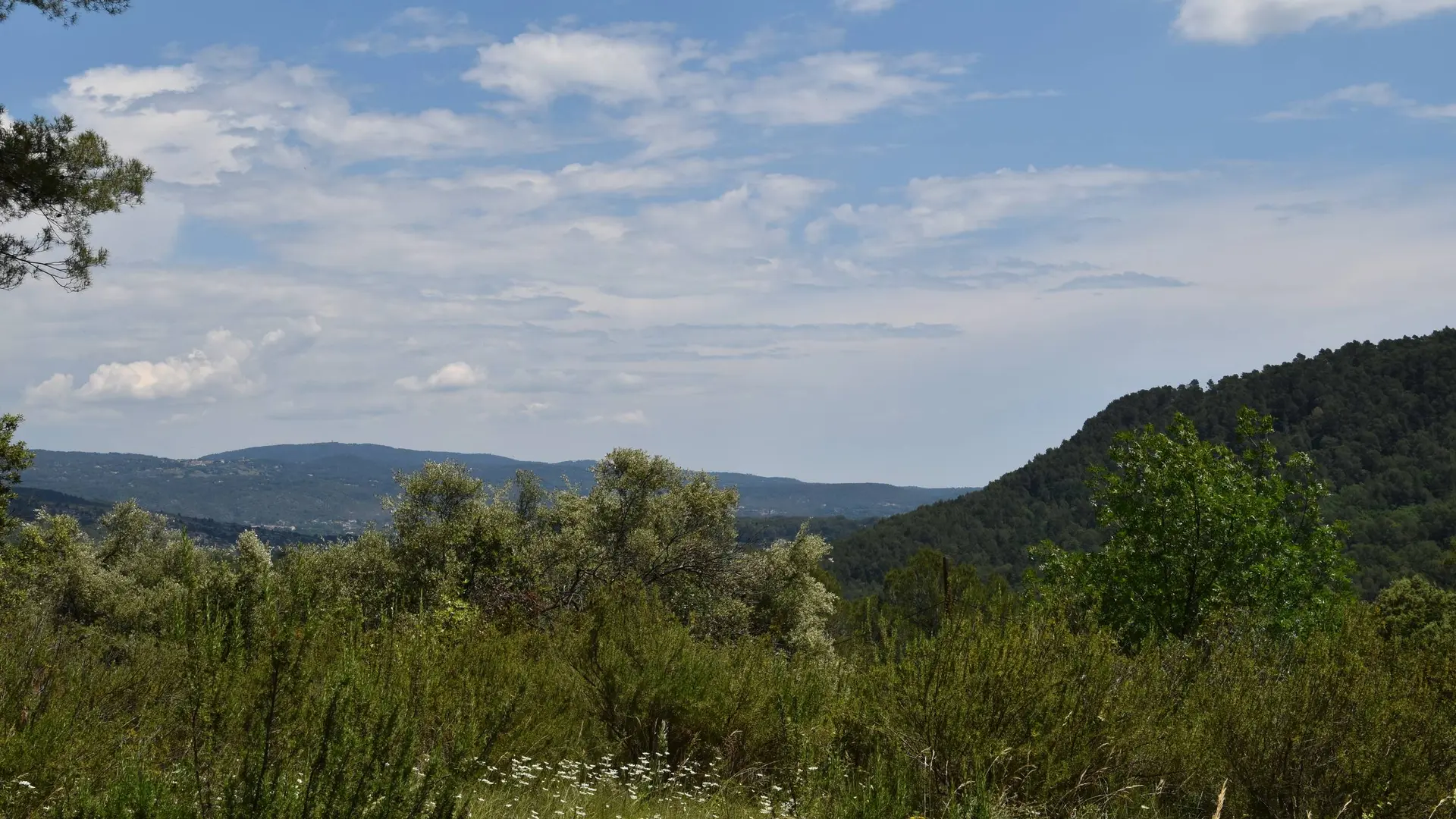 Panorama sur la végétation et les collines