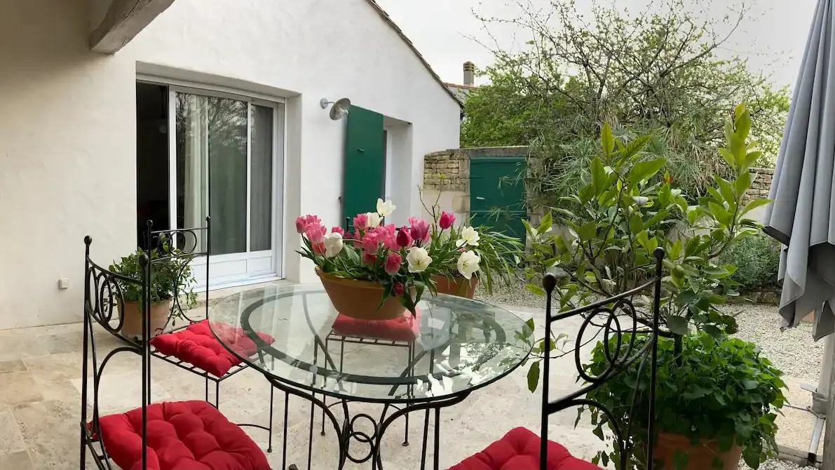 Terraza 1