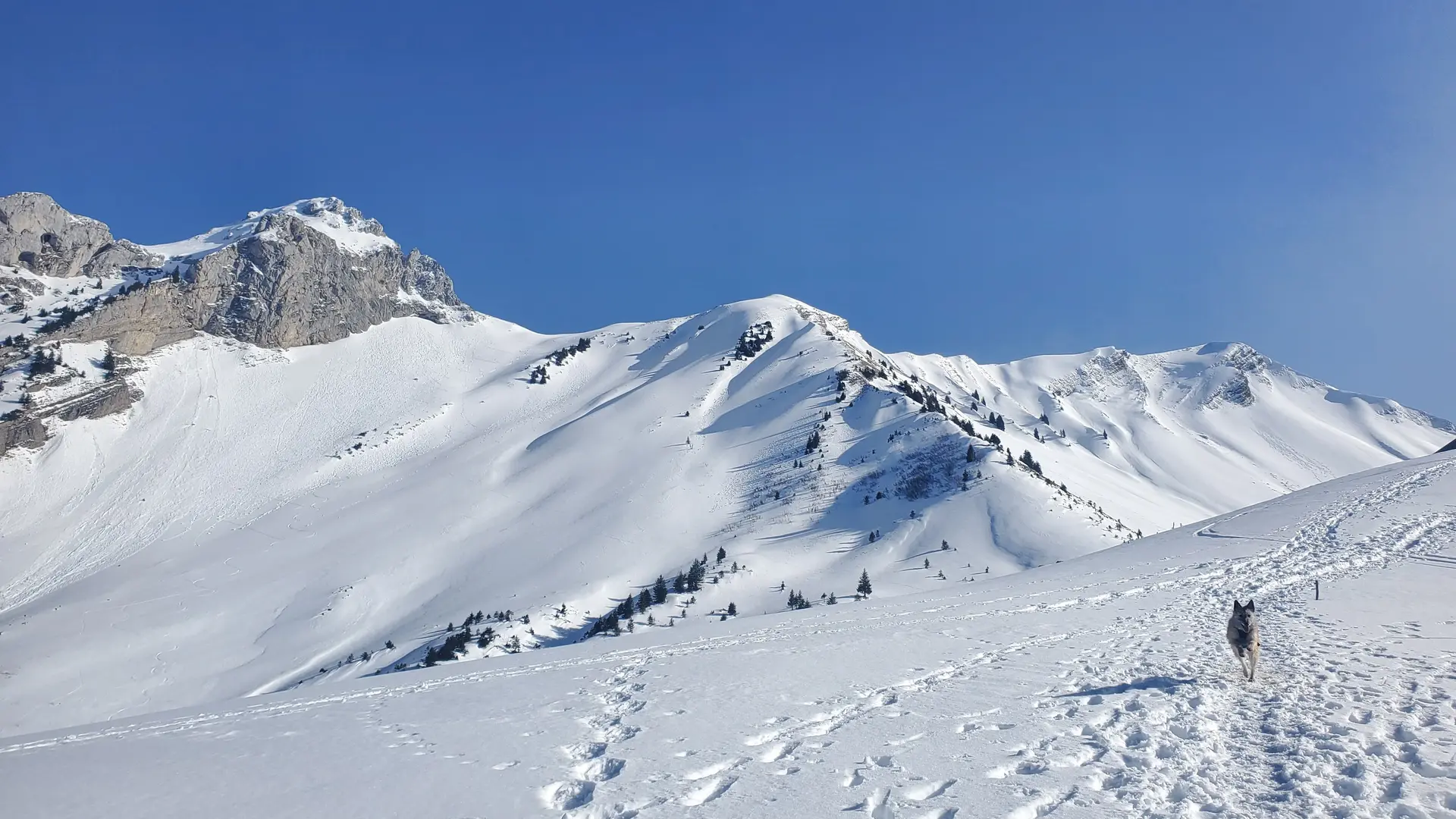 Randonnée pédestre : Boucle d'Orgeval_Faverges-Seythenex