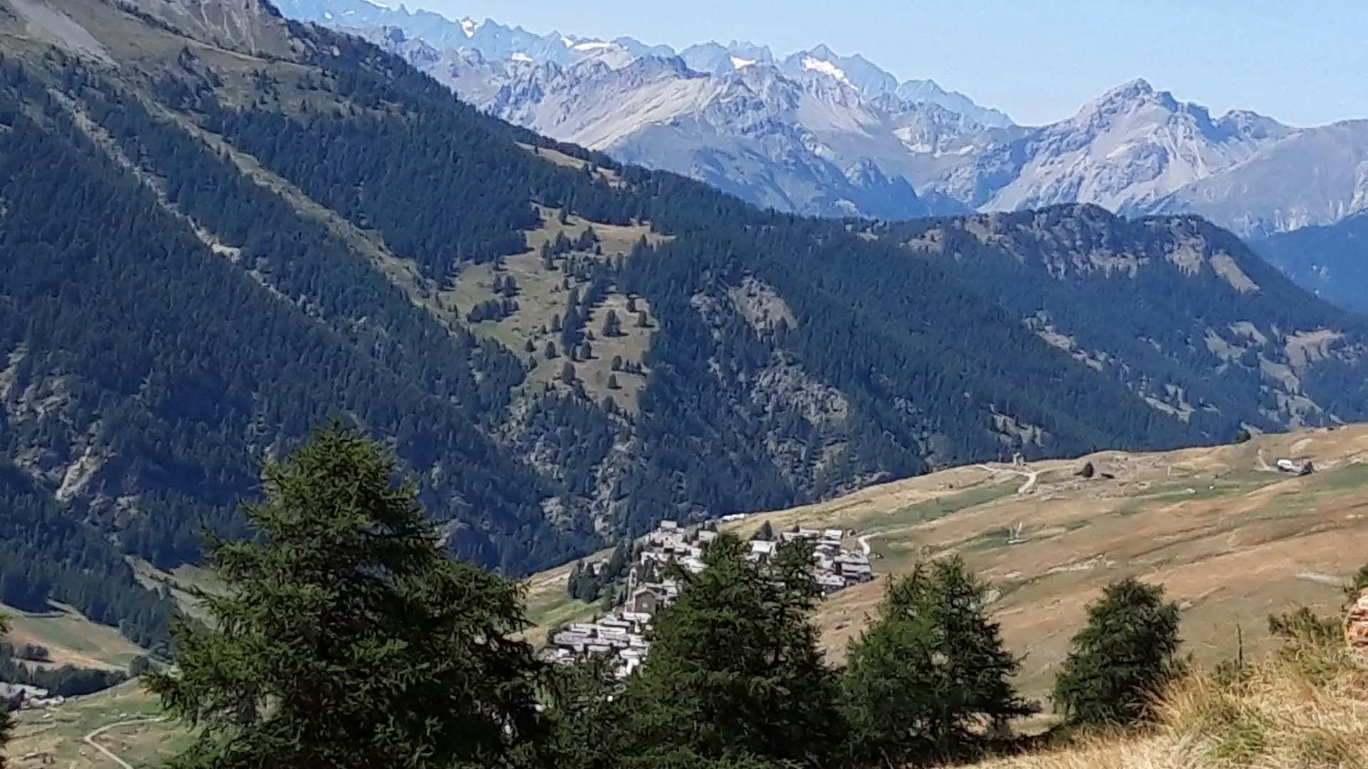 Vue