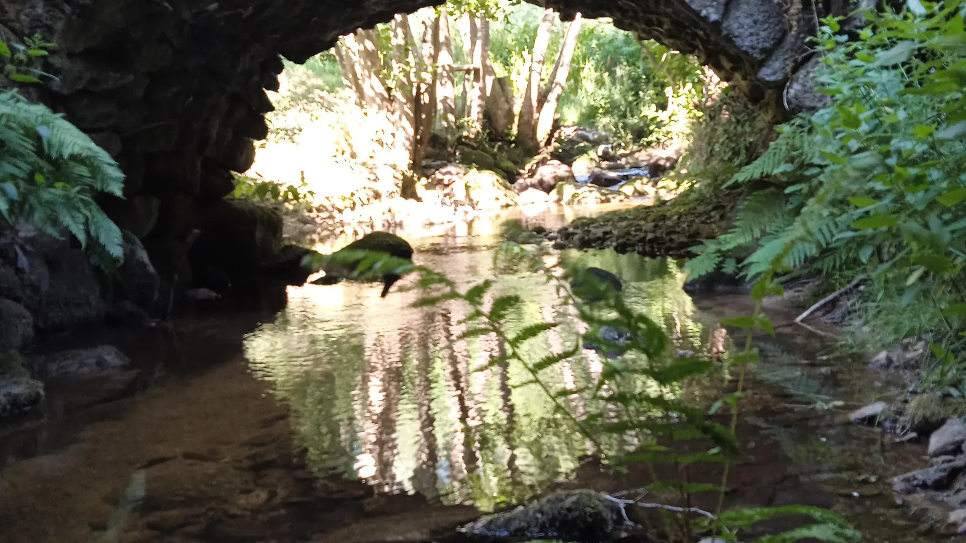 Le vieux pont