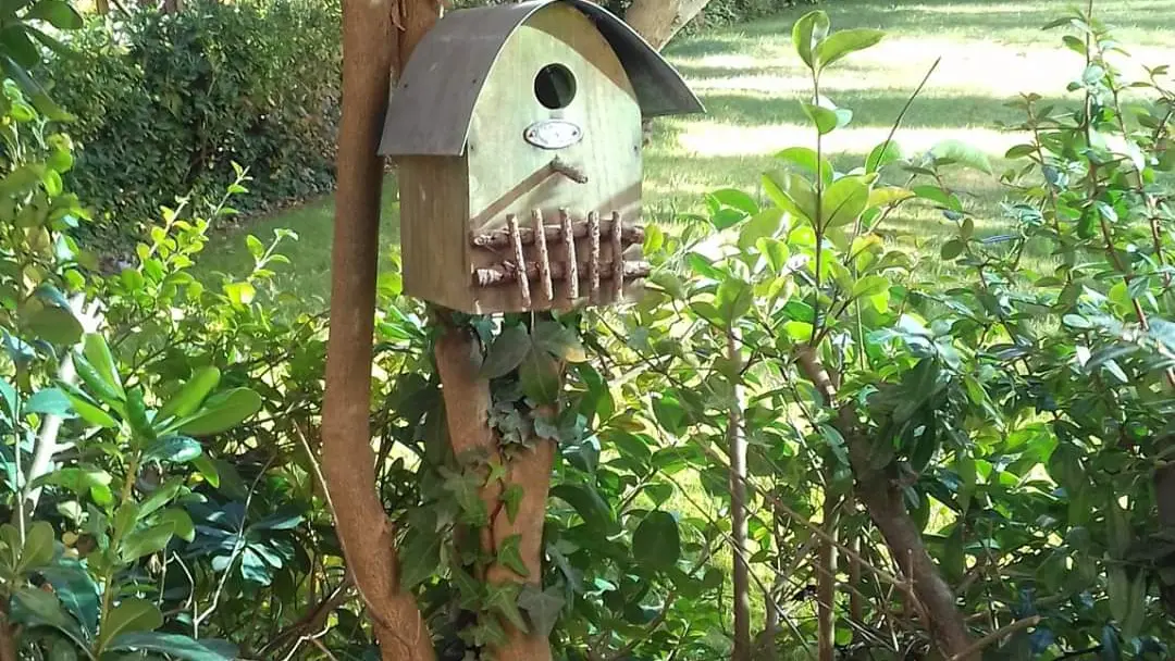 Appartement dans une résidence - La Coudoulière - Bouilliez Dominique