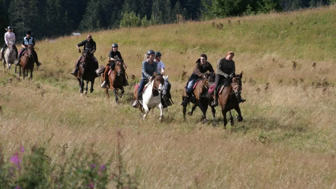 Randonnées à cheval