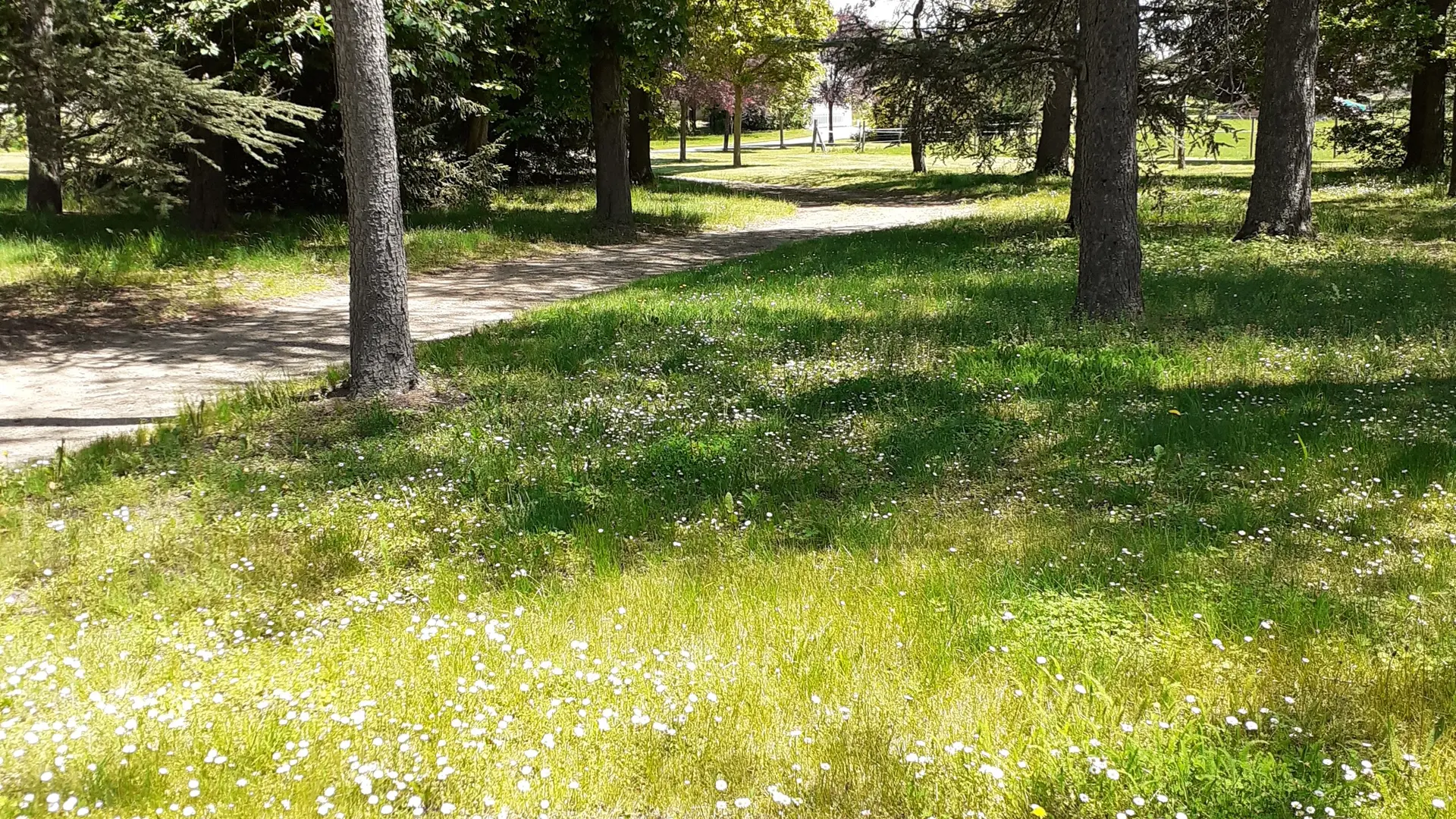 jardin