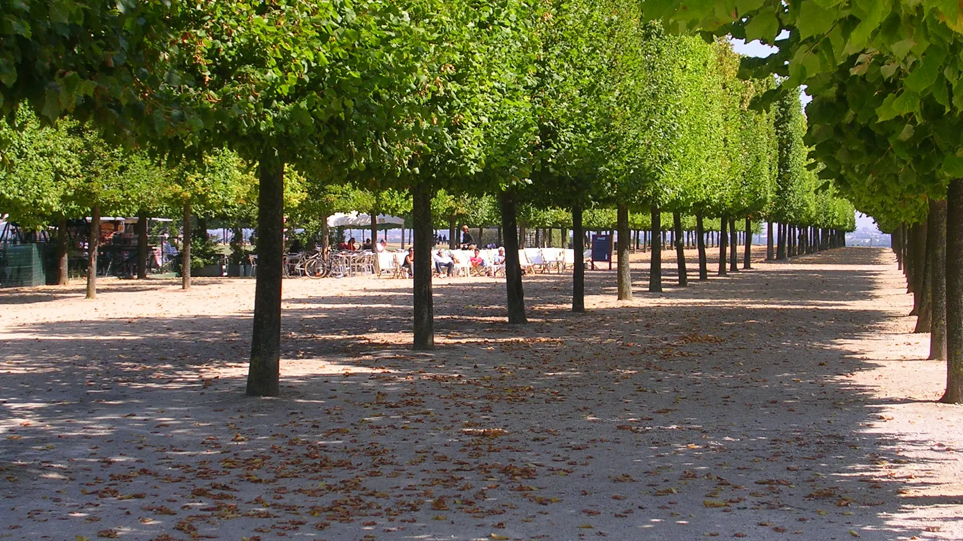 Domaine national de Saint-Germain-en-Laye
