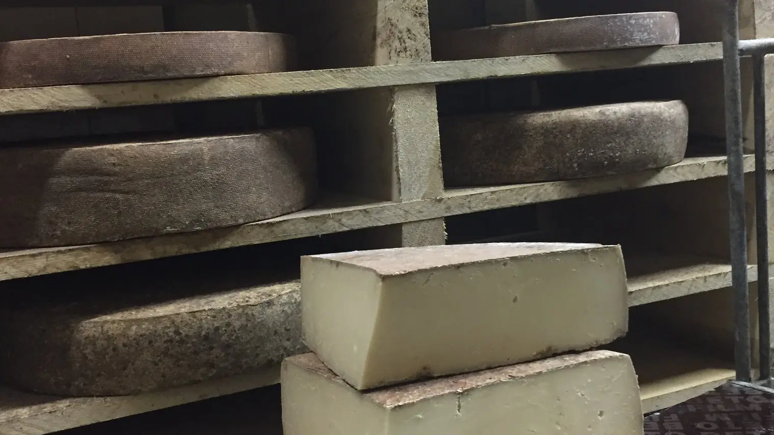 Tomme de vache