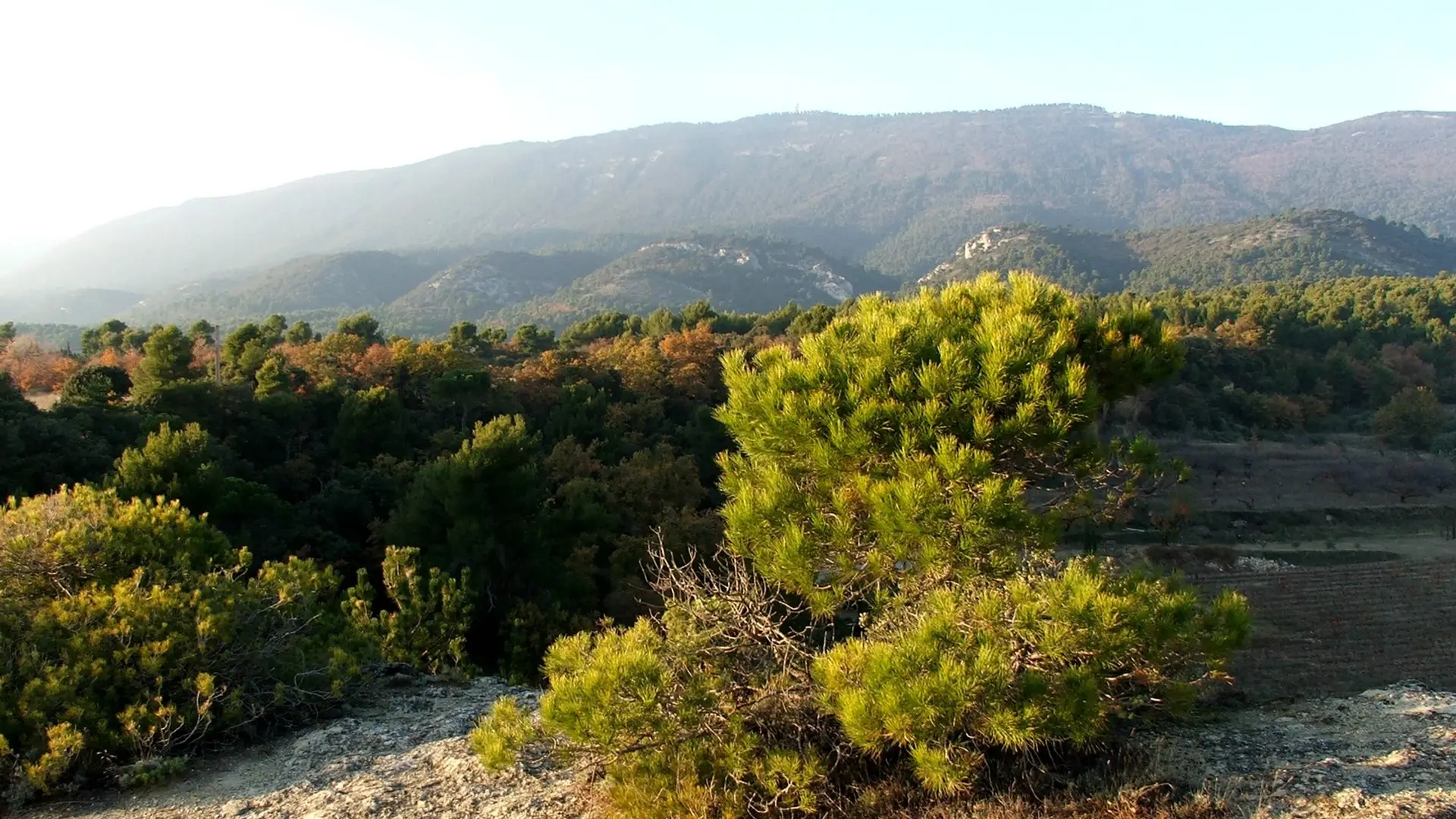 À l'amorce du sentier géole