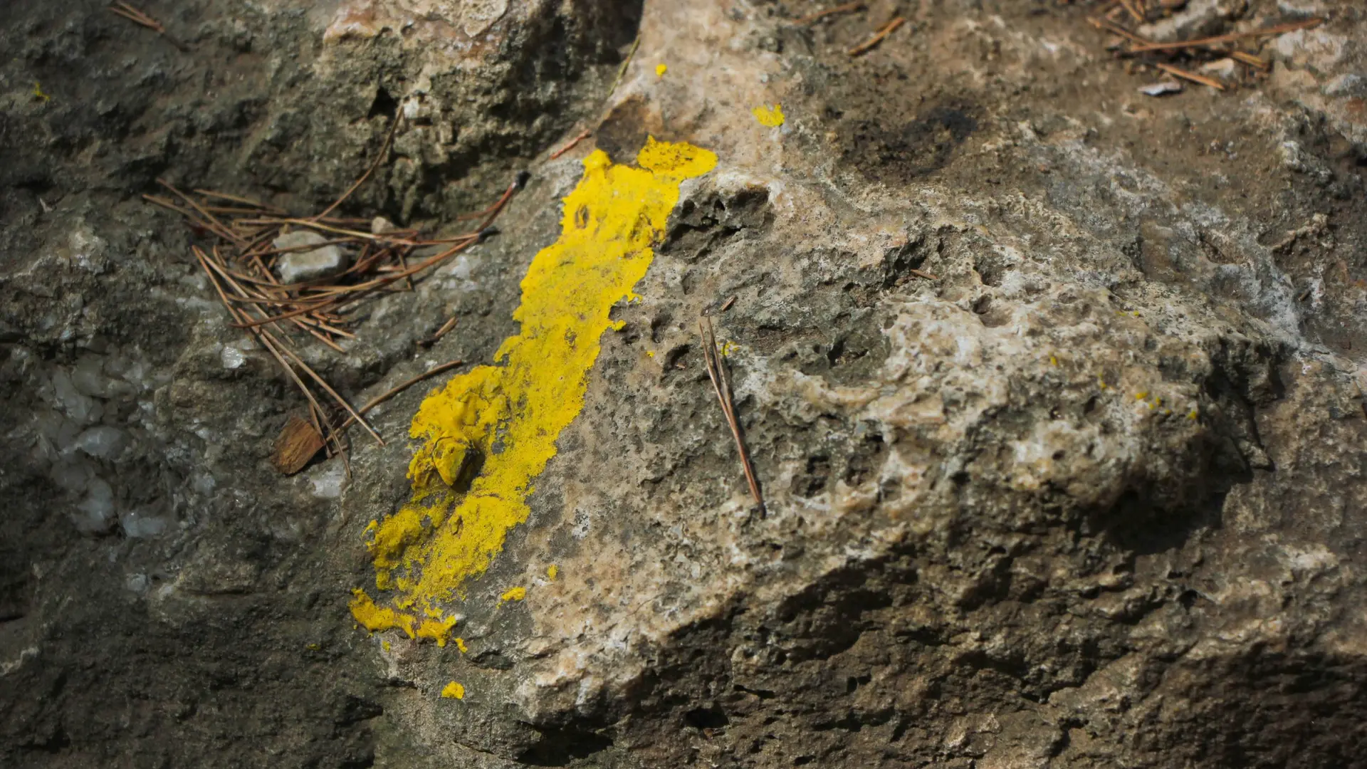 Le sentier du littoral