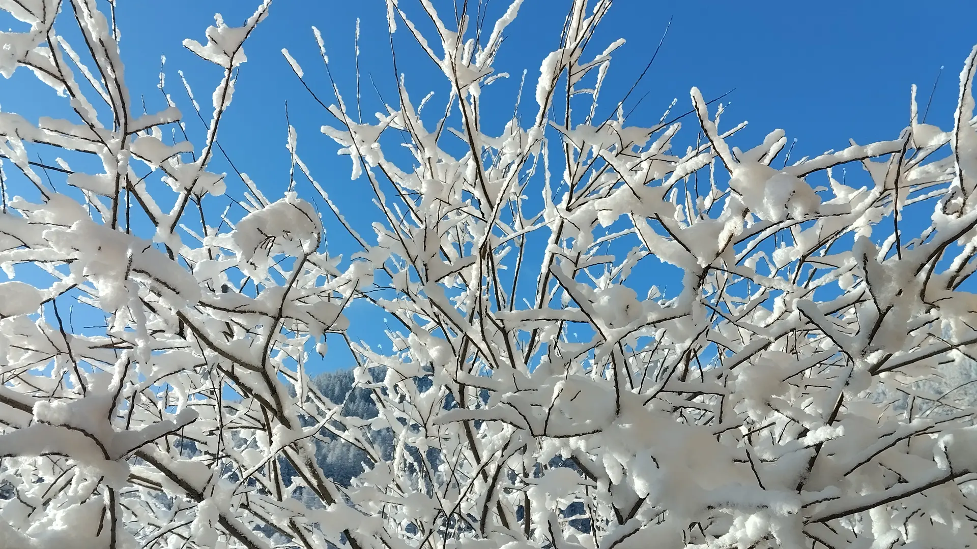 Chastan Sport - Randonnée trottinette Tout Terrain et location Fat Bike à assistance électrique_Crévoux